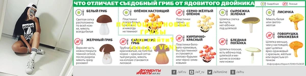 спайс Алексеевка