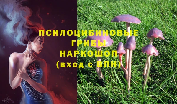 МДПВ Алзамай