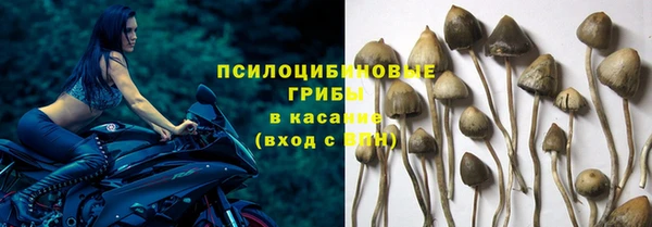 МДПВ Алзамай