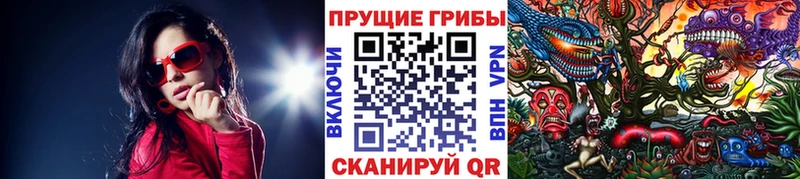 shop как зайти  закладка  Буй  Псилоцибиновые грибы MAGIC MUSHROOMS 
